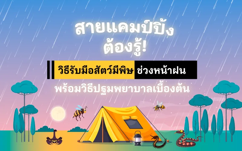 สายแคมป์ปิ้งต้องรู้! วิธีรับมือสัตว์มีพิษช่วงหน้าฝน พร้อมวิธีปฐมพยาบาลเบื้องต้น